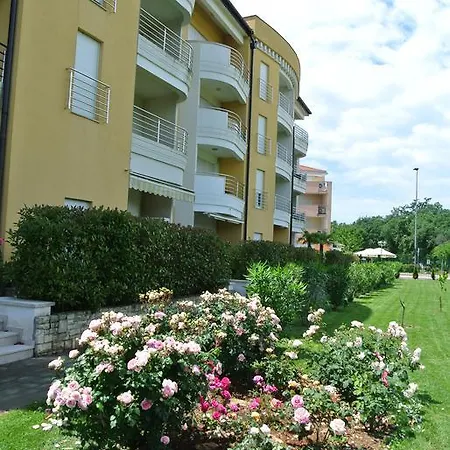 Stella Maris
